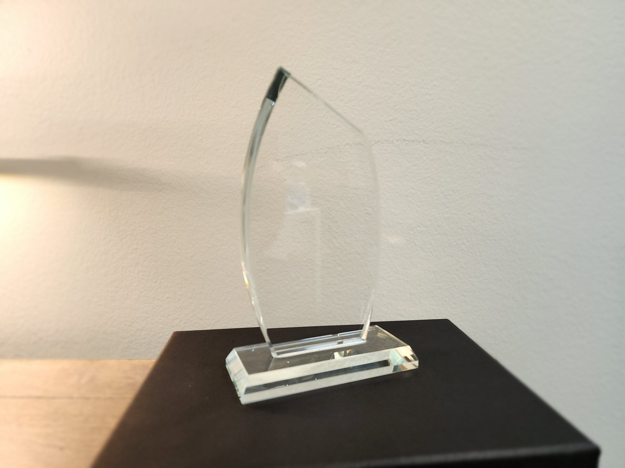 SALE - Modern Flame Award