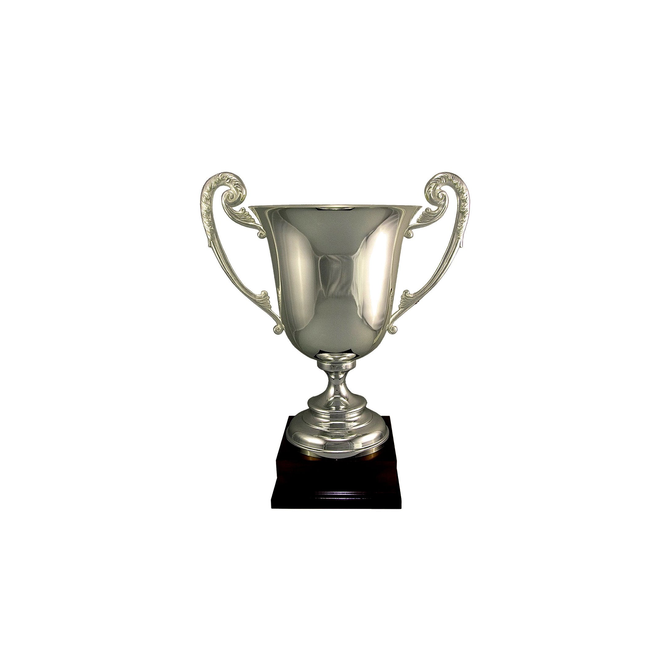 Very Large Wide Silver Plated Metal Cup