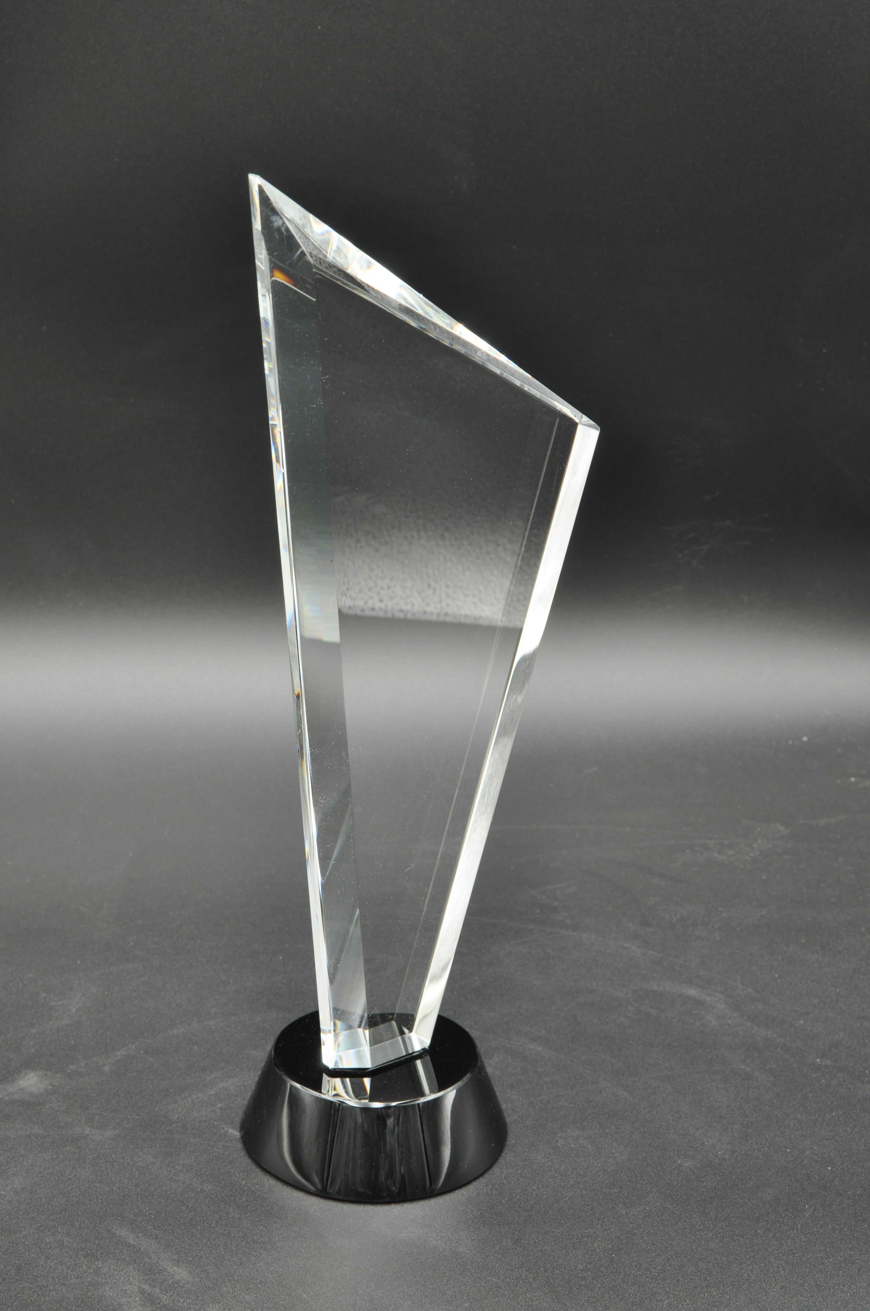 SALE -Invincible Award 10"