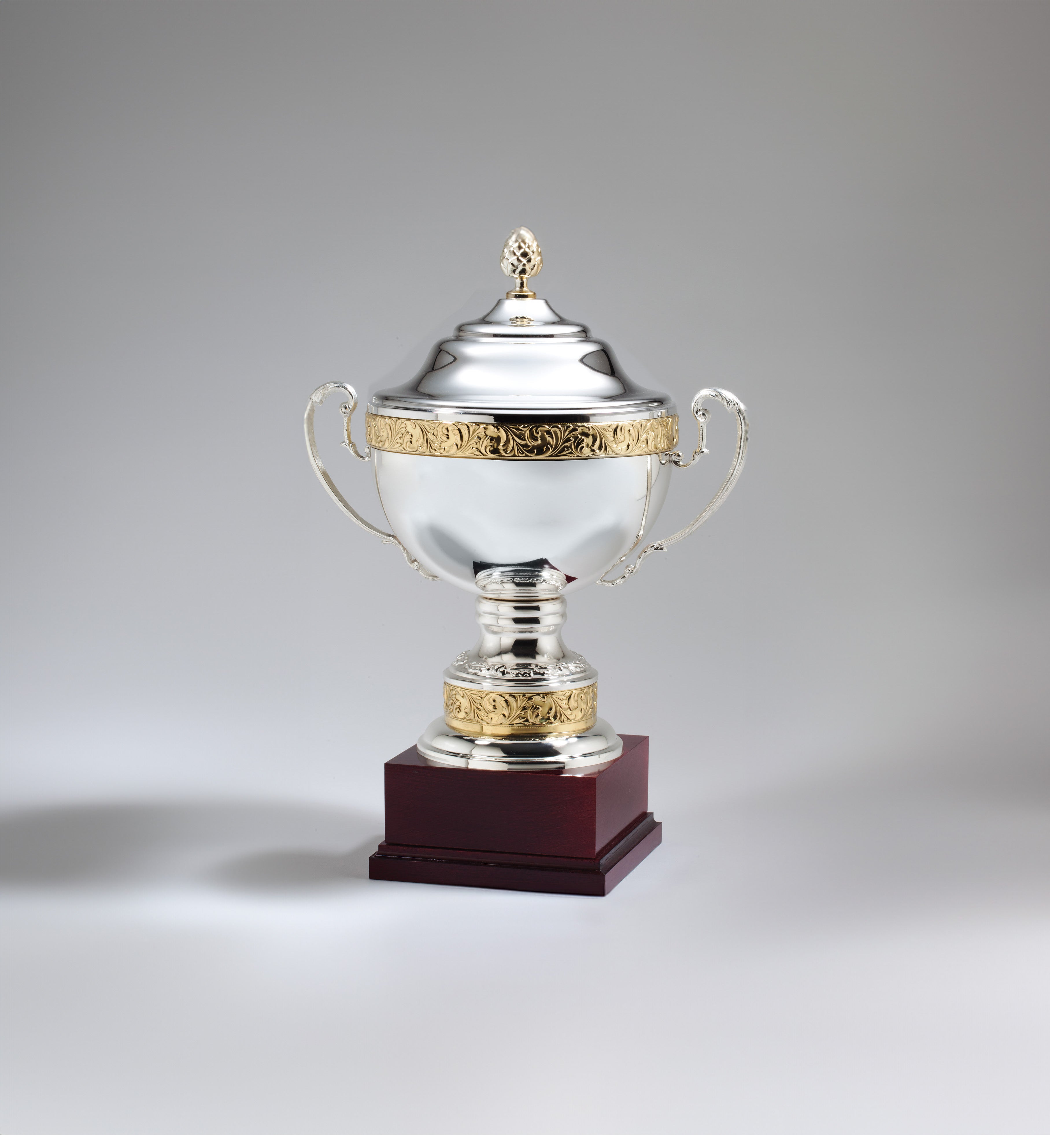 Grand Silver & Gold Color Metal Cup