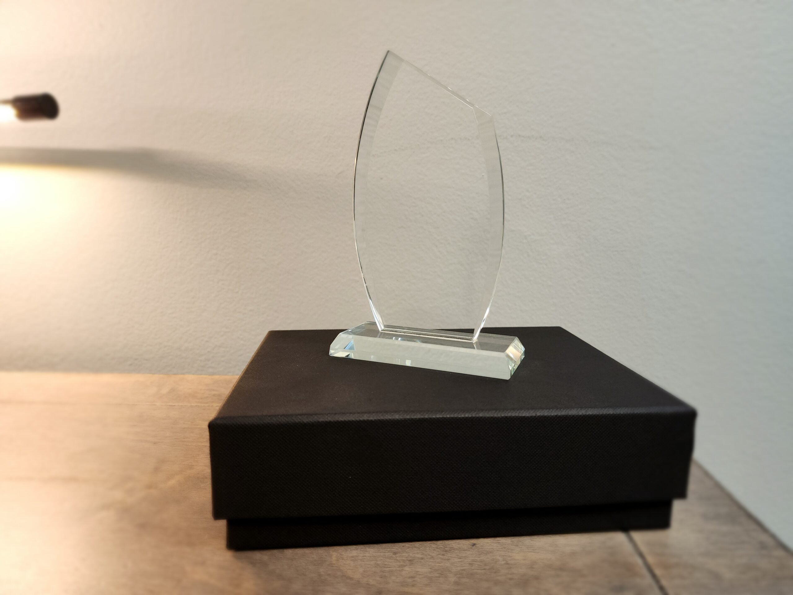 SALE - Modern Flame Award