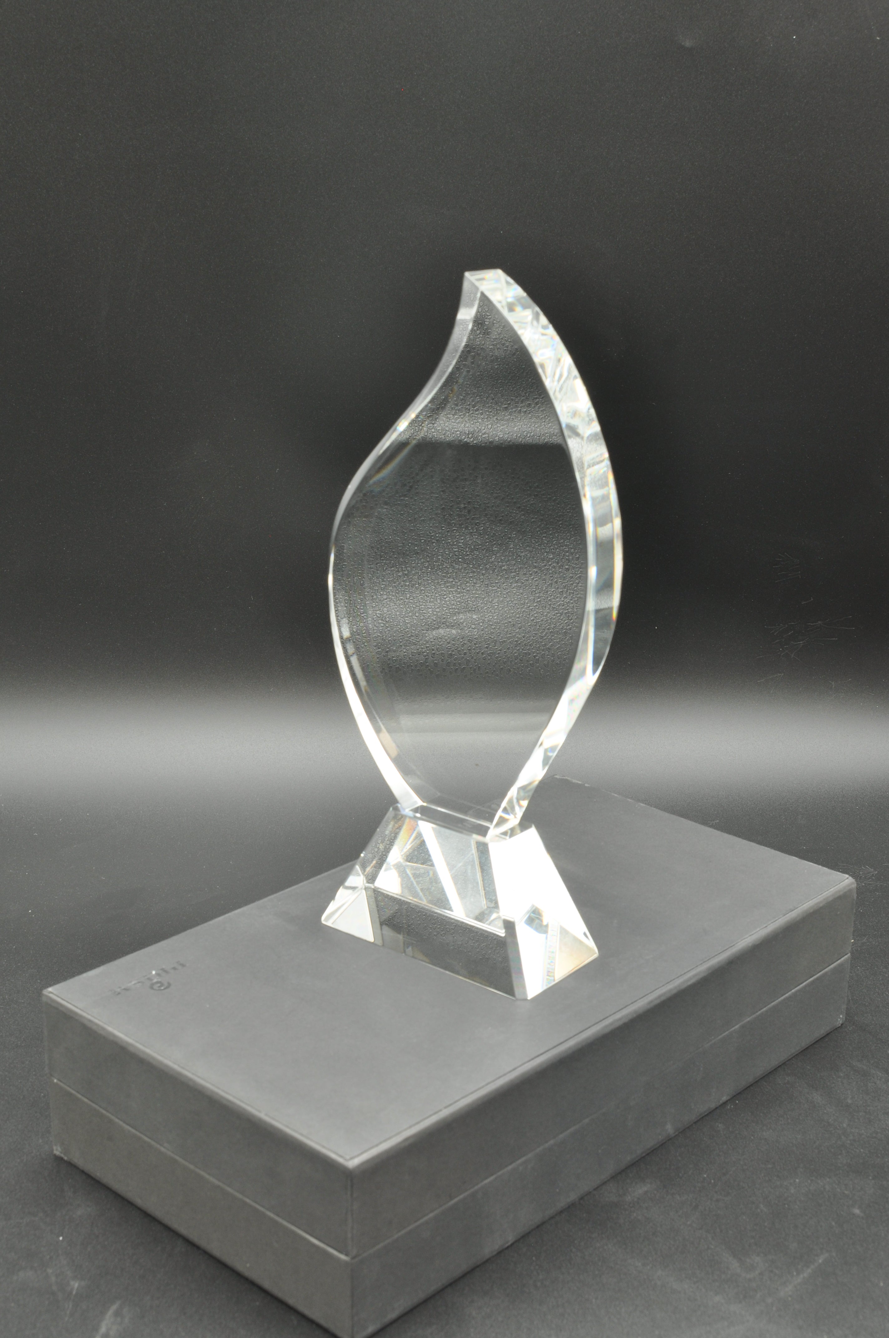 SALE -Flame Award 9-7/8" x 3-7/8" x 1-7/8"